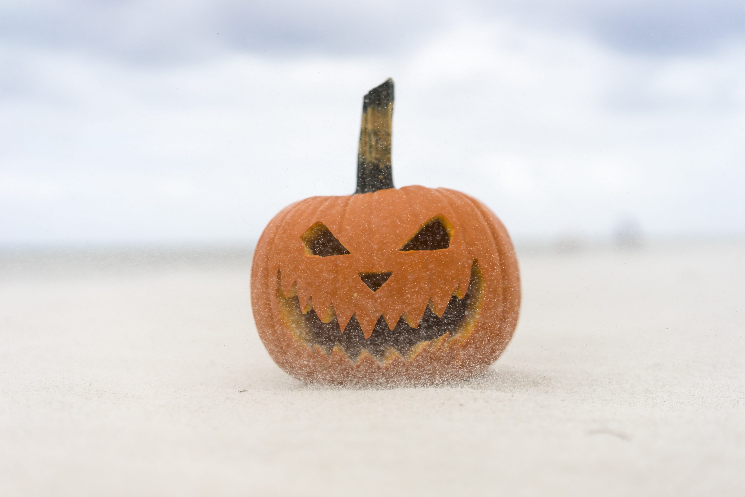 How to Host an Outdoor Movie Screening This Halloween - AudioFetch Audio Over WiFi yasin erdal 325792 unsplash scaled - AudioFetch Audio Over WiFi