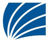 Palmetto Engineering & Consulting Logo